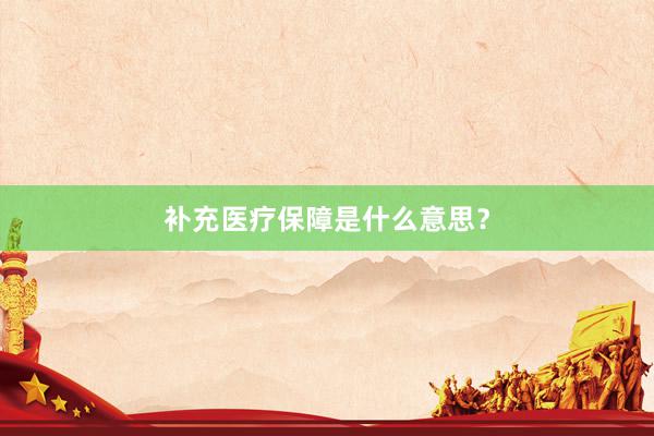 补充医疗保障是什么意思？